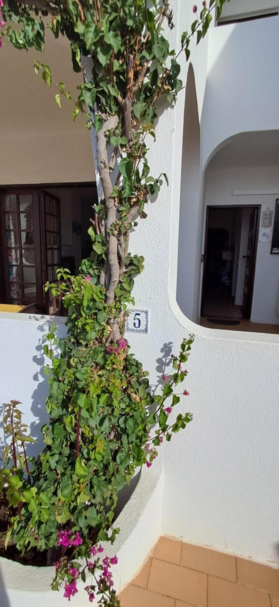 Apartamento Neptuno Benagil Exteriör bild